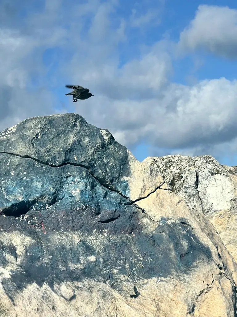 Un pájaro sobrevuela las rocas de la cumbre