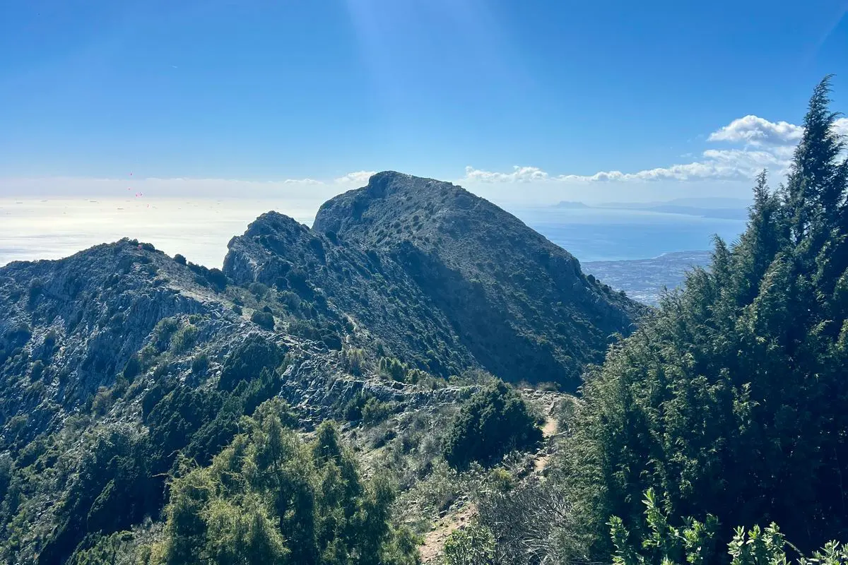 Cresta hacia la cumbre de La Concha entre pinos