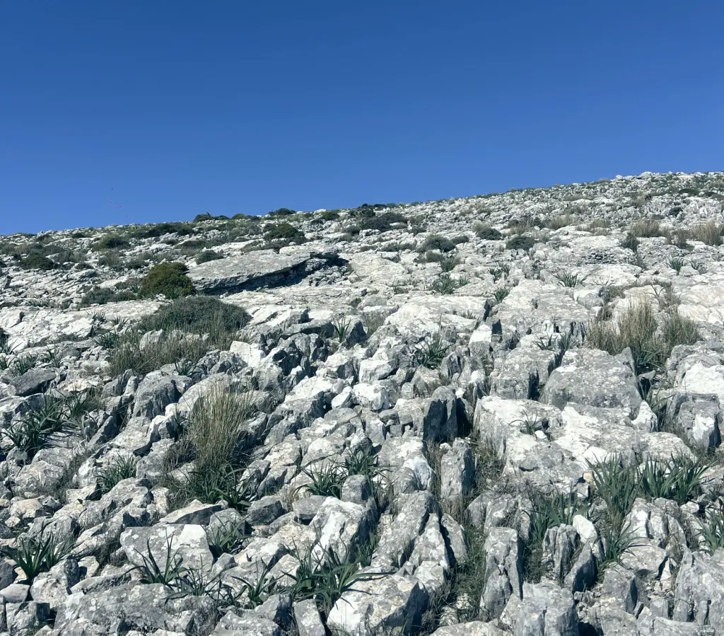 Lapiaz de roca caliza bajo el cielo azul