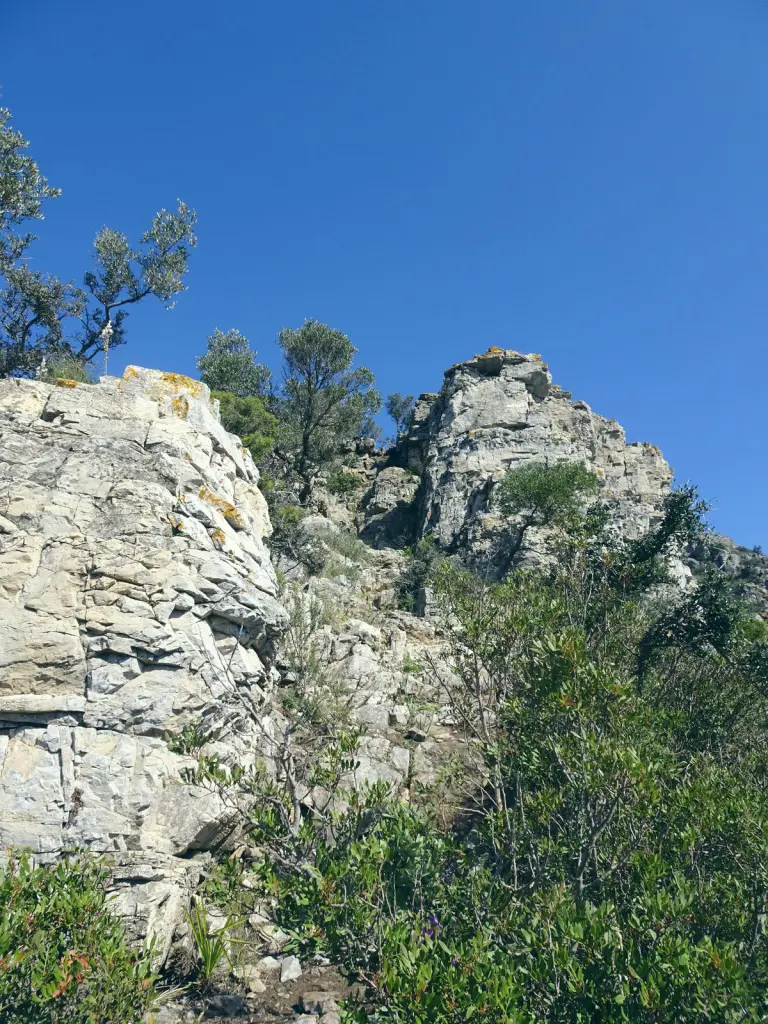 Rocas calizas y vegetación junto al sendero